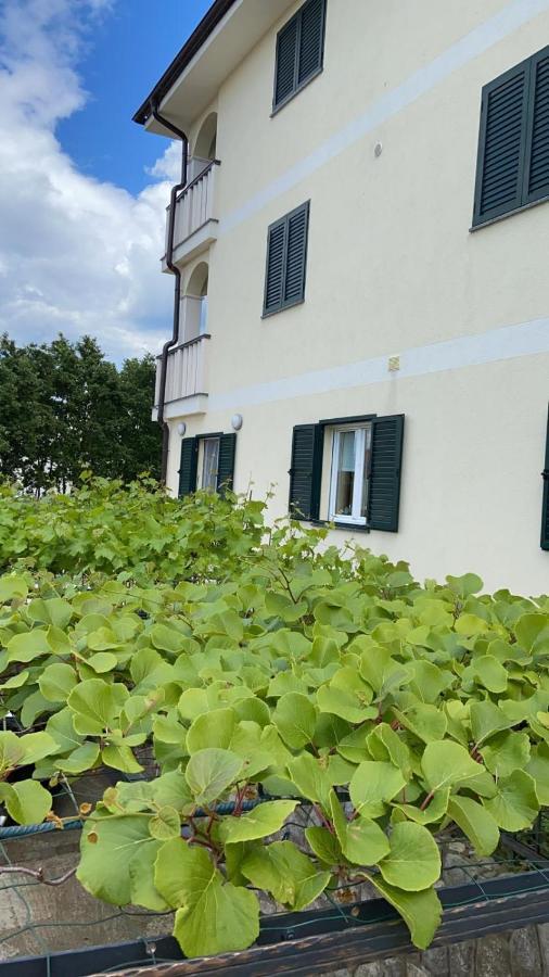 Vila Luca Island Krk / Malinska Exterior foto